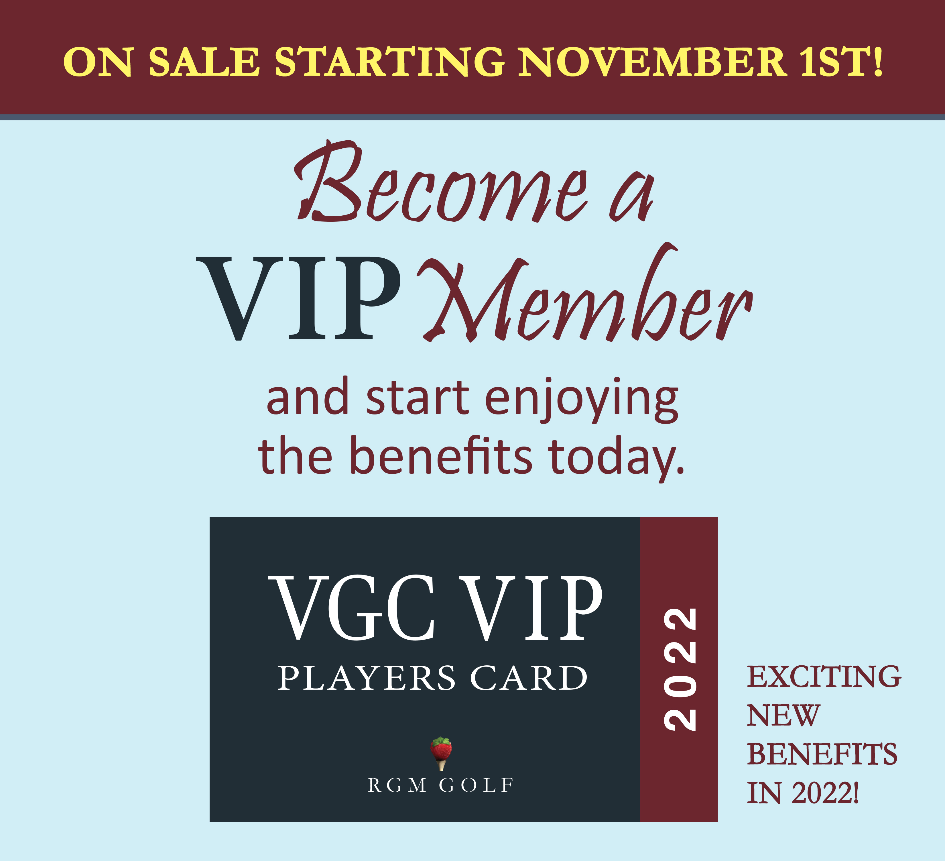 VGC VIP graphic 2022