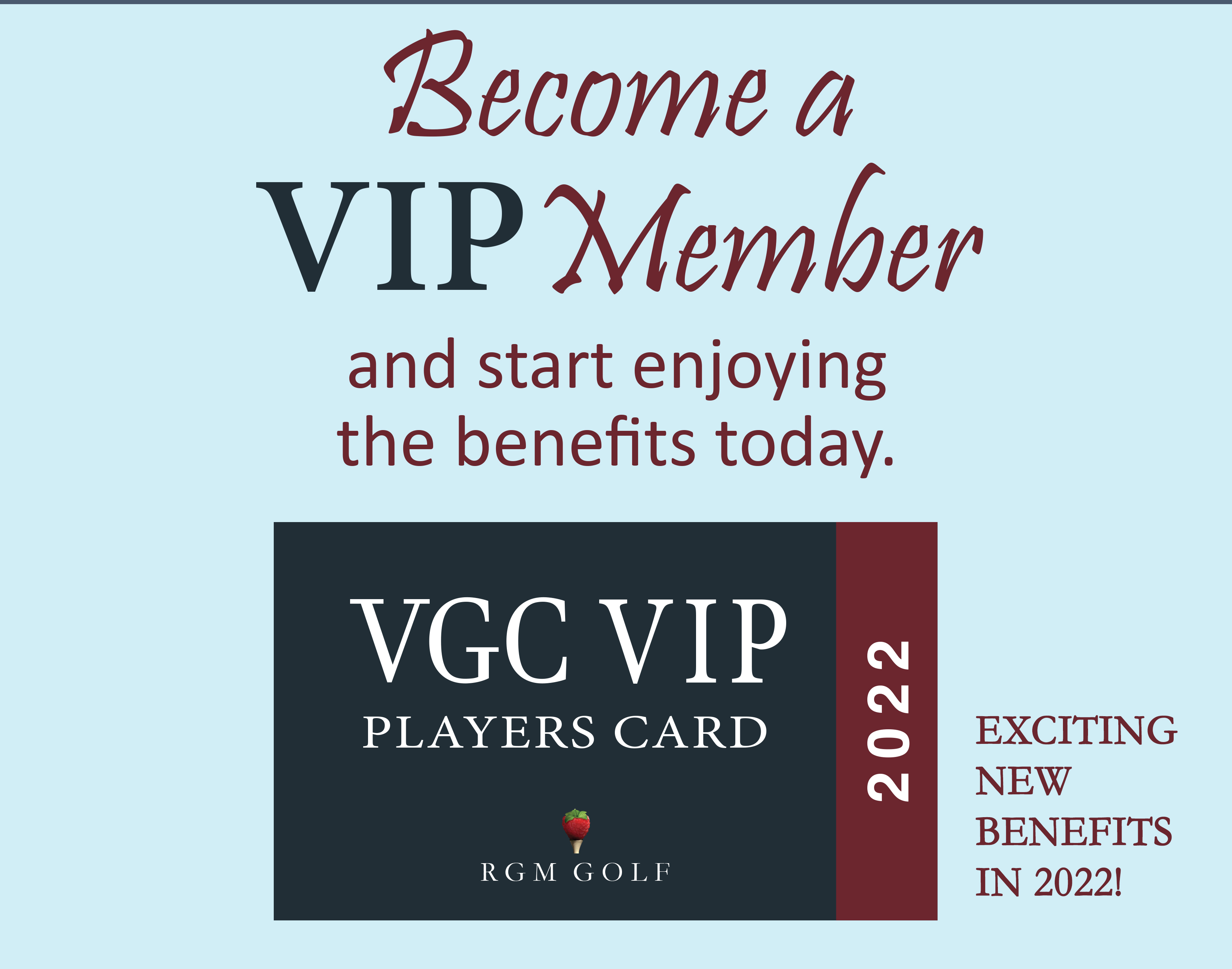 VGC VIP graphic 2022 v2