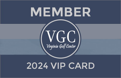 vgc player card 2024